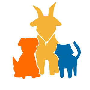 Event Home: Black Cat 5K Run & 1 Mile Fun Walk